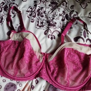 Cacique Magenta Lace Unlined Bra